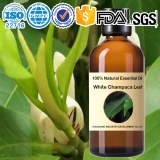 Aceite esencial de hoja de magnolia 100% natural