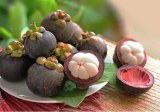 Mangosteen Extract