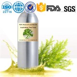 Aceite esencial de árbol de té al por mayor de fábrica 100% natural