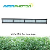 Waterproof 200W 4ft top LED crece la luz para proyectos de iluminacion horticolas hidro...