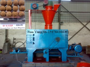 Iron fines briquette machine from tina(86-15978436639)