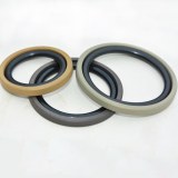 Teflon seals filled bronze for replacing glyd ring with golden green brown color