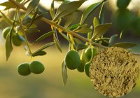 Olive Leaf Extract---New Mstar---Simin