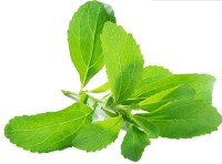 Stevia Extract---New Mstar---Simin