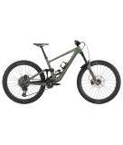 2025 Specialized Enduro Pro Mountain Bike (ALANBIKESHOP)