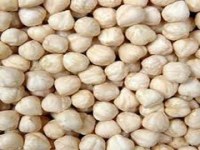 Pearl dried hazelnuts