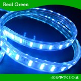 Smd5050 LED Strip Light