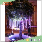 The 7-12ft high quality new green Chinese plastic life size artifical banyan tree bonsai