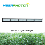 Impermeable IP66 megaphoton 250W 5ft top LED crece la luz para horticultura y floricult...