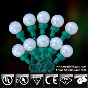 G25 LED String Light