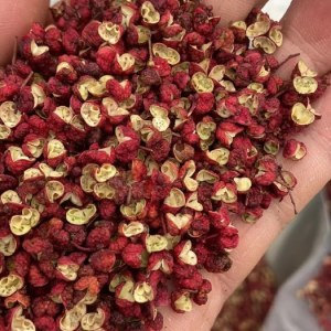 Poivre du Sichuan Rouge & Vert IGP – Tous grades & conditionnement personnalisé