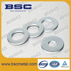 DIN9021 Carbon Steel