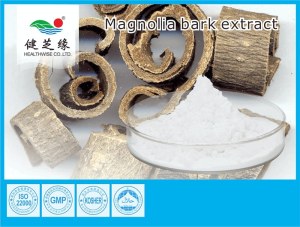 Magnolia Bark Extract Powder