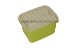 STORAGE BOX WITH HANDLE & LOCK MOULD DETAILS