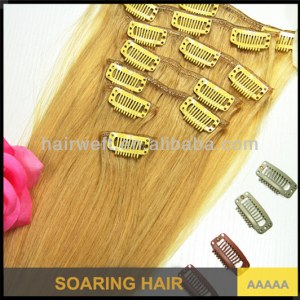 Clip-In Hair Extension