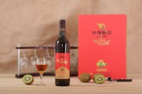 Vino sabroso de la fruta de kiwi del jinzhuxia del partido chino 2  750ml 12% ovl con el embalaj...