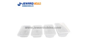 PLASTIC PACKAGING MOULD
