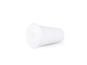 Biodegradable Disposable Take away Coffee Cups with Lids Wholesale