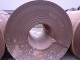 Galvanized- steel -sheet DX52D+Z