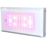 300W LED crecen la luz