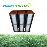 Megaphoton 300W top LED crece la luz para horticultura y floricultura en proyectos de...