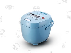 Rice cooker