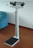 RGT.A-200A-RT Double Ruler Body Scale
