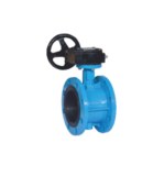 China Soft Seal Butterfly Valves