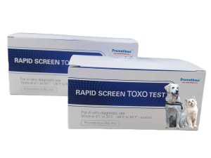 Toxoplasma IgG/IgM (Toxo Ab) Rapid Tests