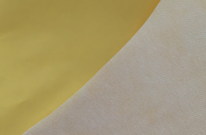 PE Laminated Non-Woven Fabric