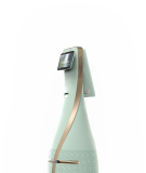 AI guide capable of chatting and ushering