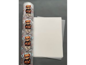 A4 Size DTF Film (8.25in x 11.75 in) - DTF Transfer Sheets for DTF Desk Printers