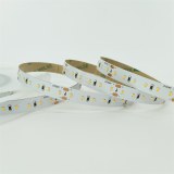 SMD 2216 120LED/M Led Strip Light