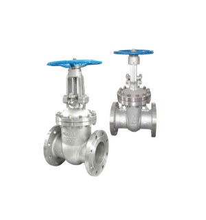 Gate Valve