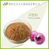 Factory supply free samples organic pure Onion powder extract