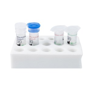 Detection Kit for Monkeypox Virus DNA (PCR-Fluorescence Probing)