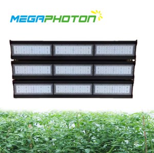Megaphoton 450W top LED crece la luz para horticultura y floricultura en proyectos de...