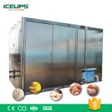 Large Food Chain Factory Use Vacuum Anti-pollution Cooling Machines for Precooling Deli...