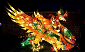 Chinese Dragon-phoenix Shapted Lantern