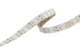 5050 120LED/M CCT Adjustable LED Strip