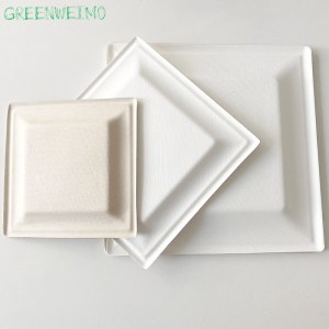 Square Shape Sugarcane Plate