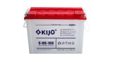 DG Series Tricycle Battery