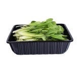 Disposable Vegetable Tray