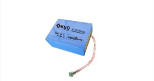 25.2V Lithium ion Battery