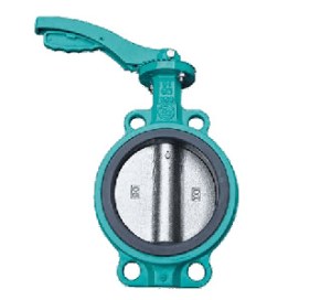 Butterfly Valve