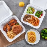 Compostable Containers & Lids
