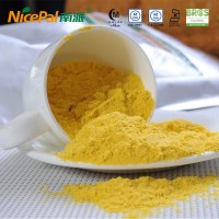 Fruit Powder Pumpkin Powder for Beverage Baking Ingredients Wholesale Price