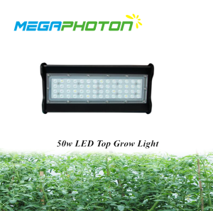 Megaphoton 50W 1ft top LED crece la luz para proyectos de iluminacion horticolas hidrop...