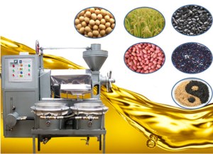 Home use oil press machine