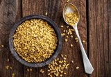 Fenugreek Extract